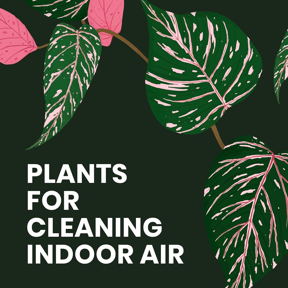 Houseplant social media template vector with plants for cleaning indoor air text