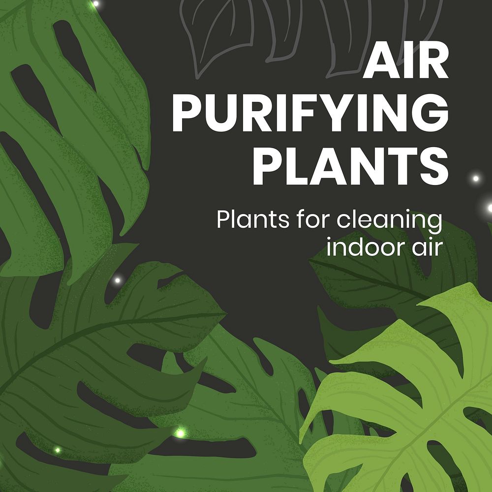Houseplant social media template vector with air purifying plants text