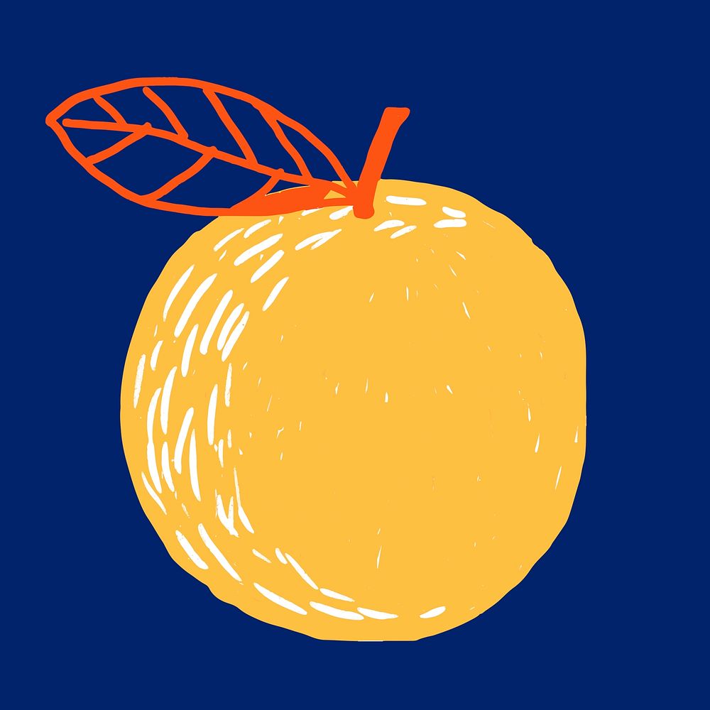 Fruit orange doodle drawing vector