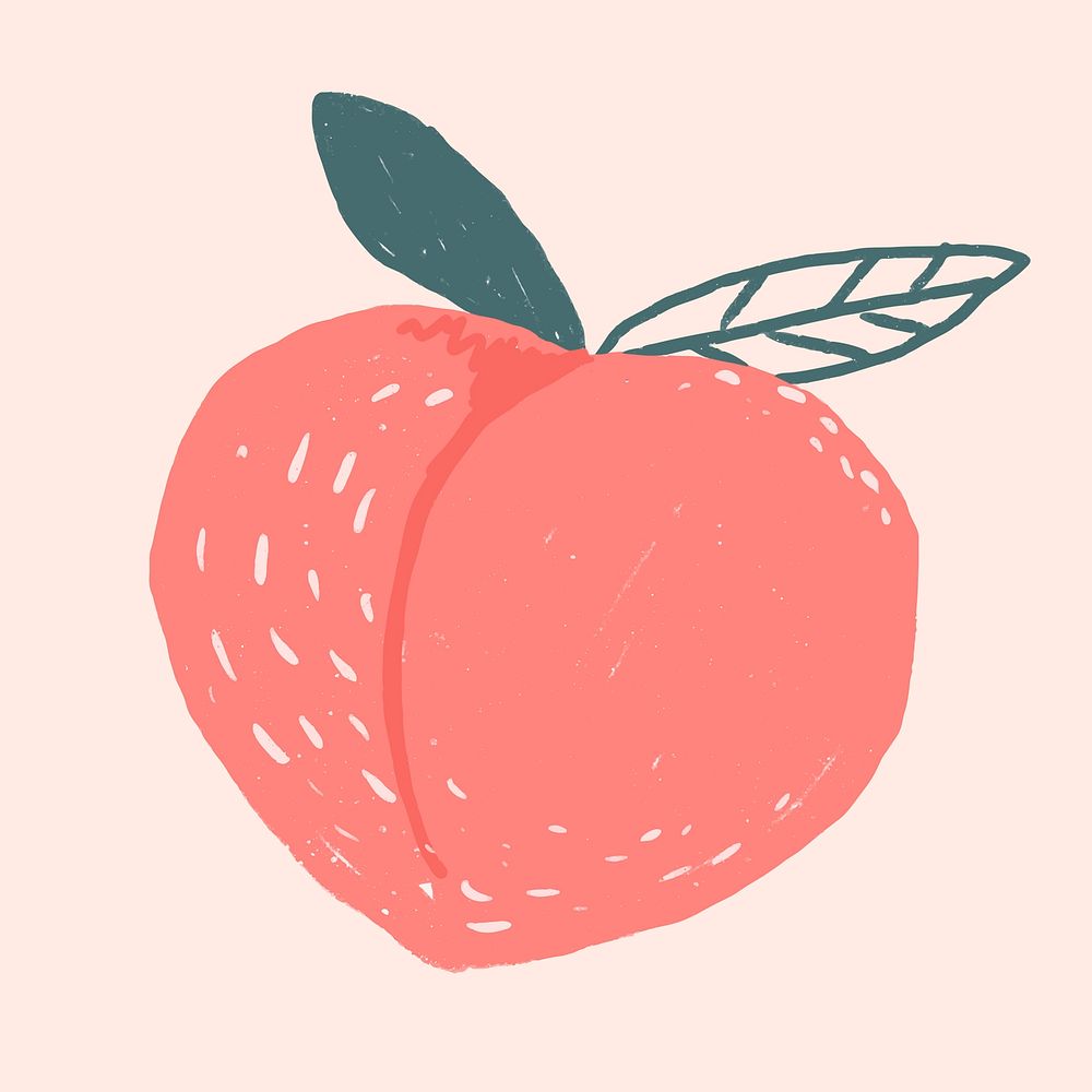 Fruit peach doodle drawing vector