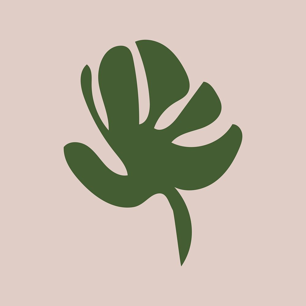 Monstera leaf, aesthetic design element vector