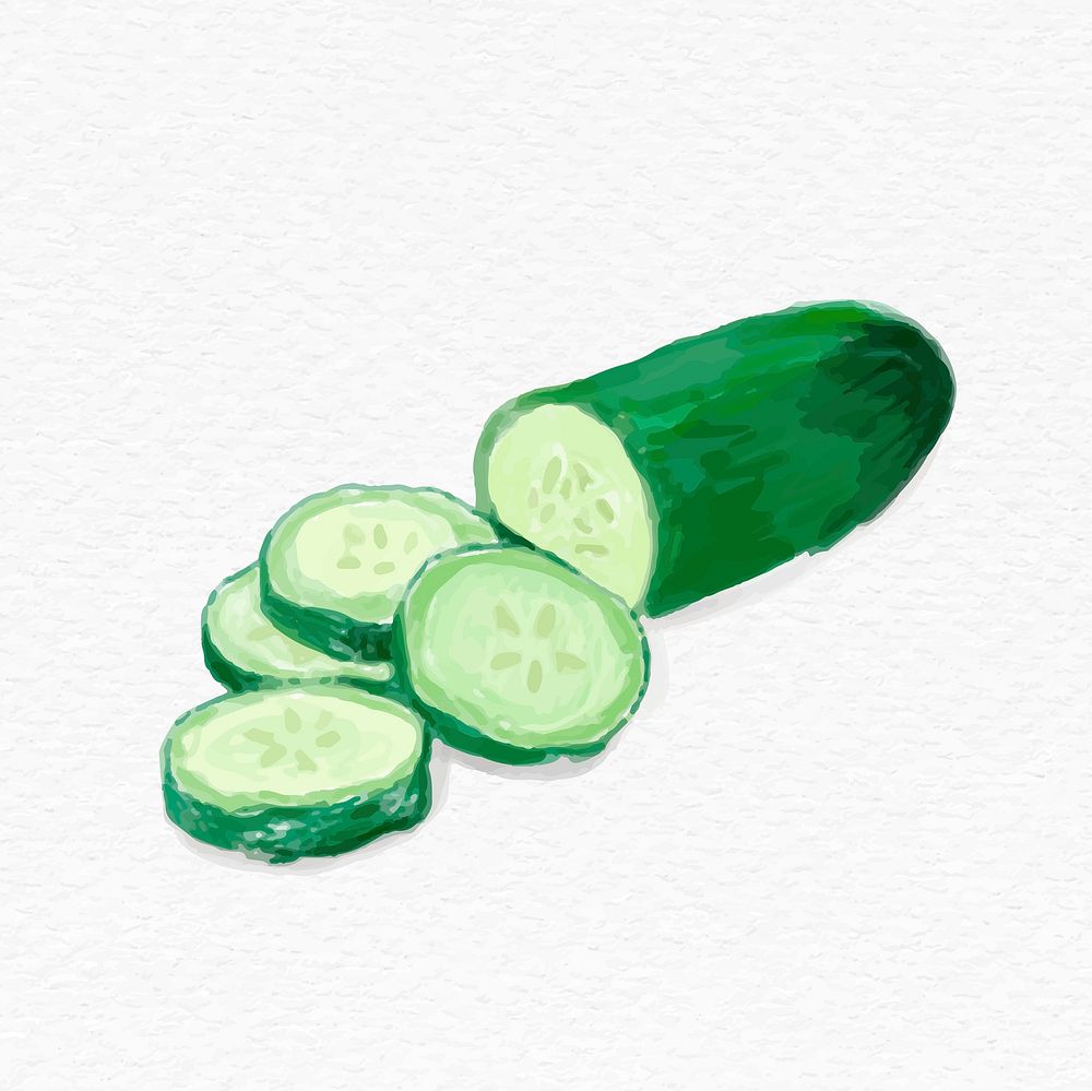 Green cucumber watercolor drawing psd