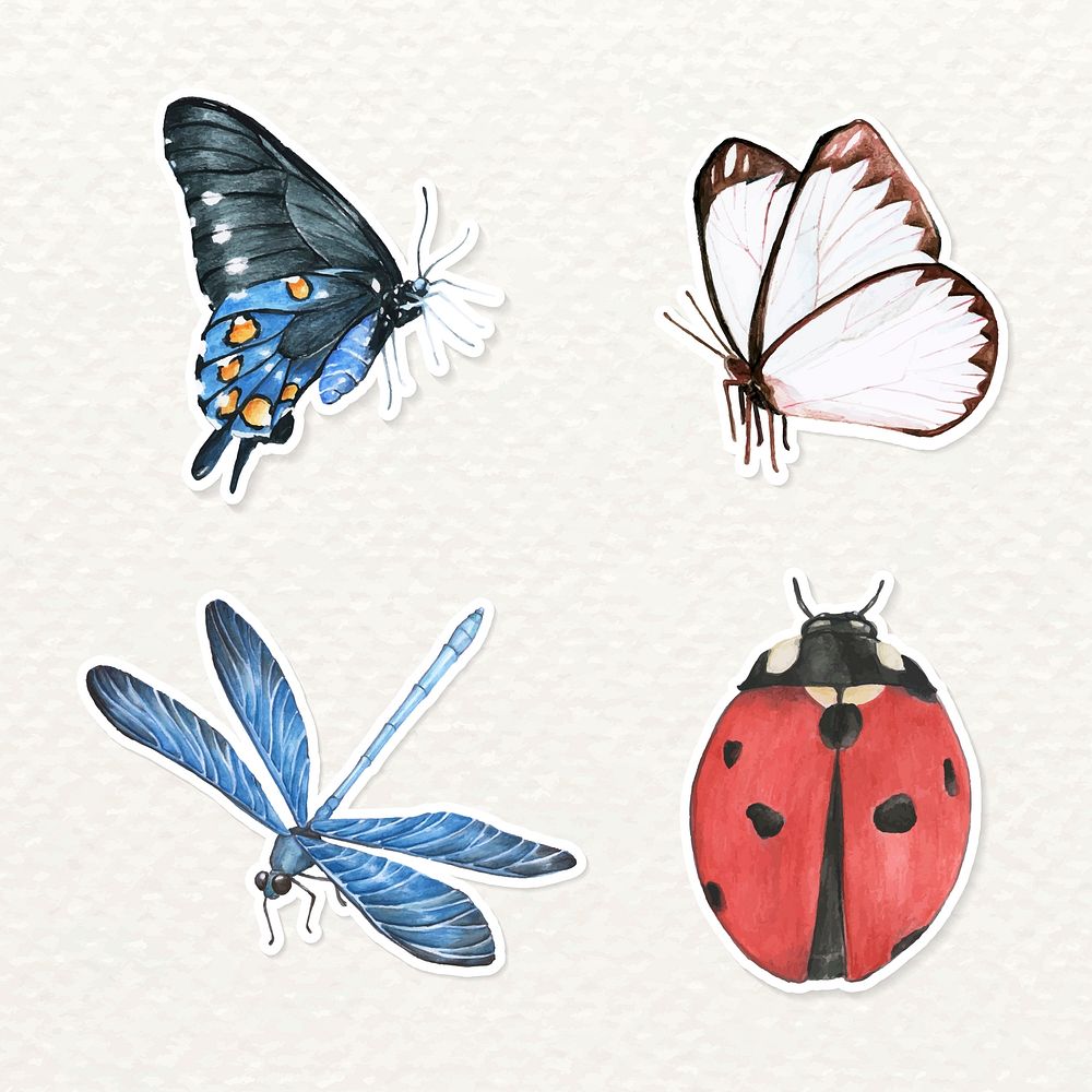 Watercolor butterfly and insects sticker png