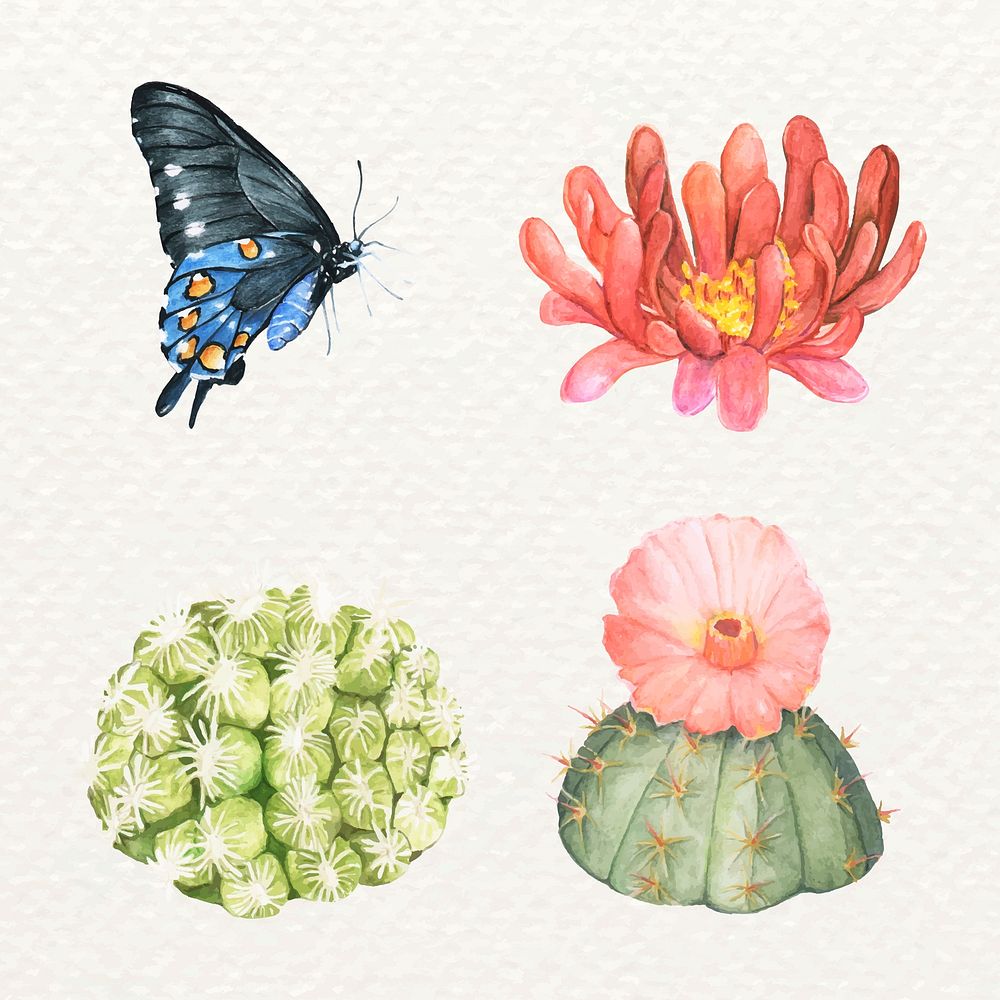 Butterfly and cactus hand drawn vector set