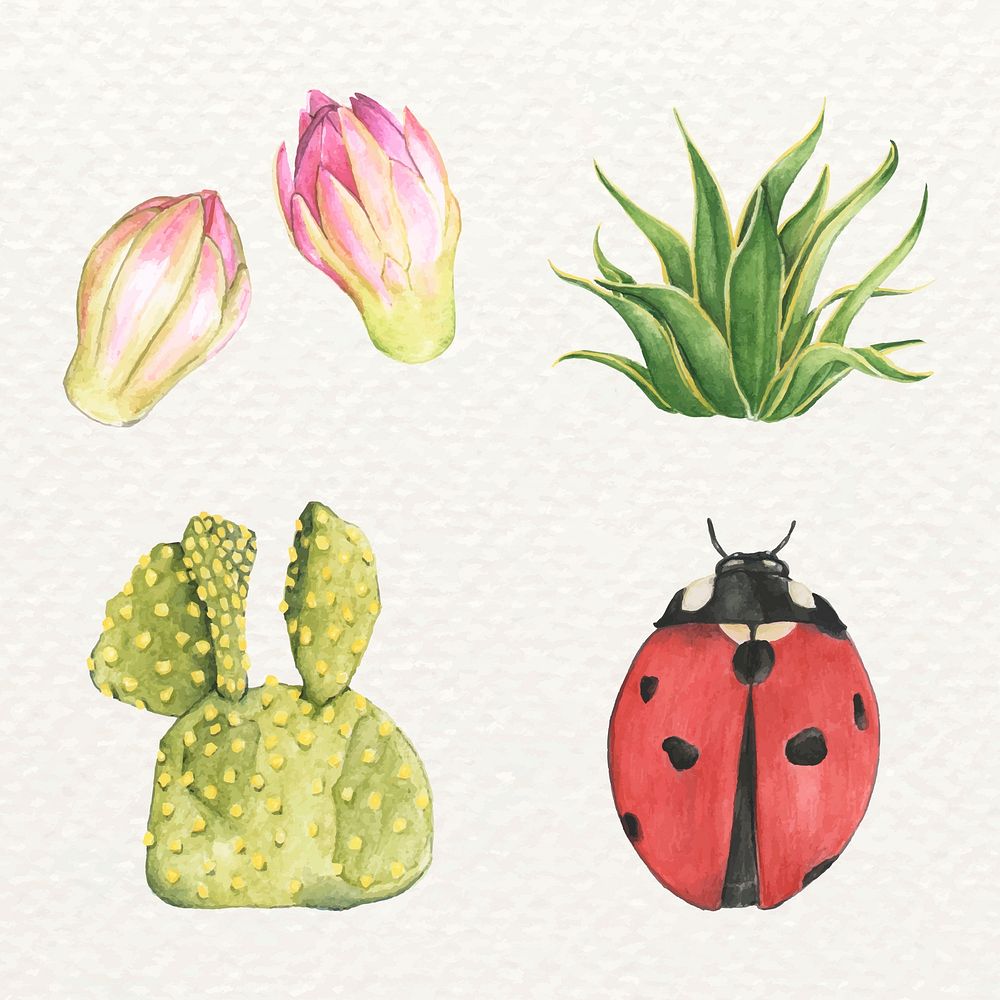 Ladybug and cactus watercolor vector set
