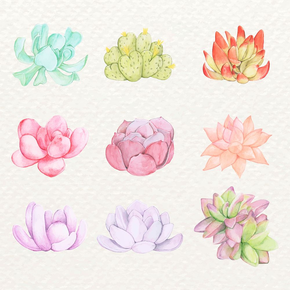 Beautiful desert succulent vector sticker set