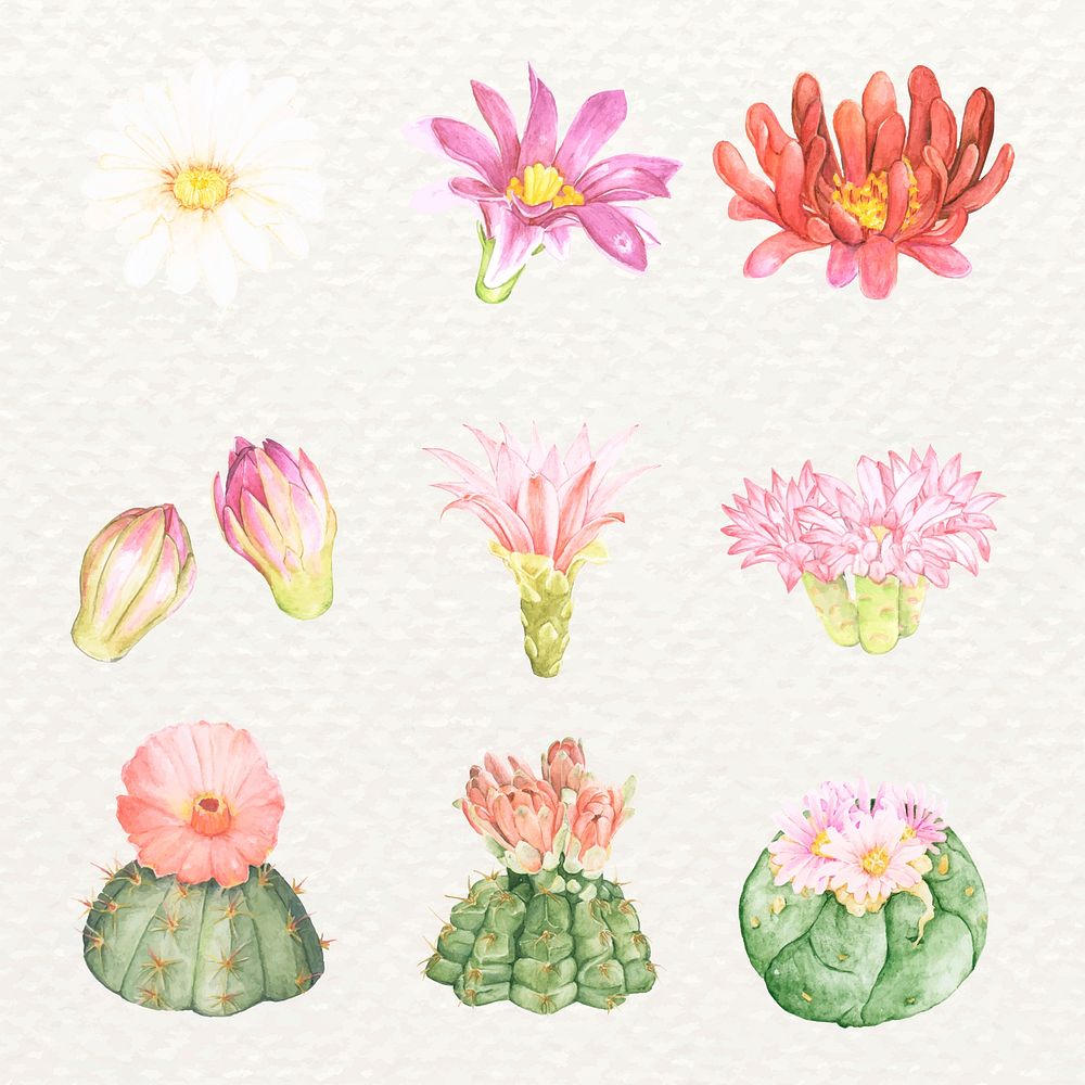 Desert cactus flower vector sticker set