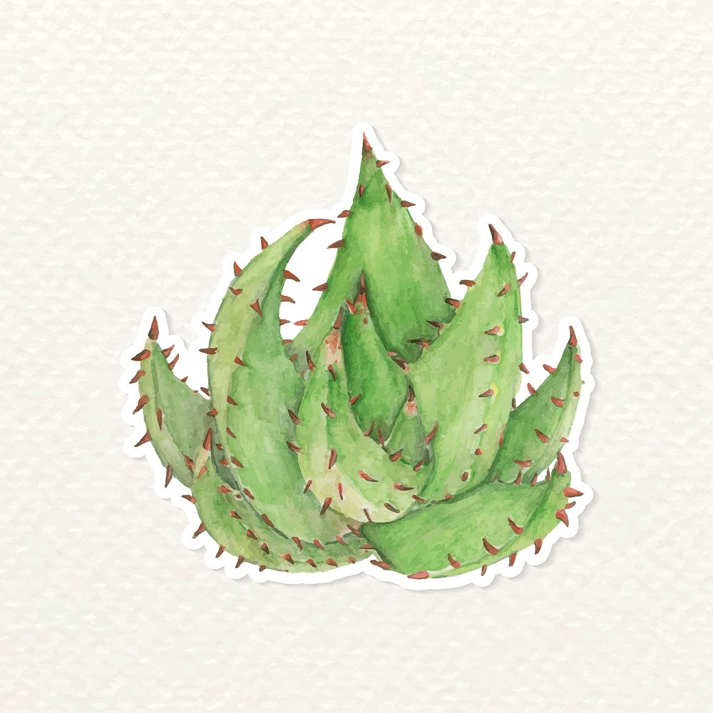 Red hot poker aloe hand drawn sticker vector