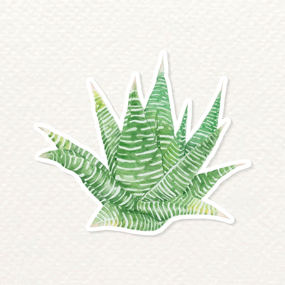 Fairy washboard succulent watercolor sticker vector