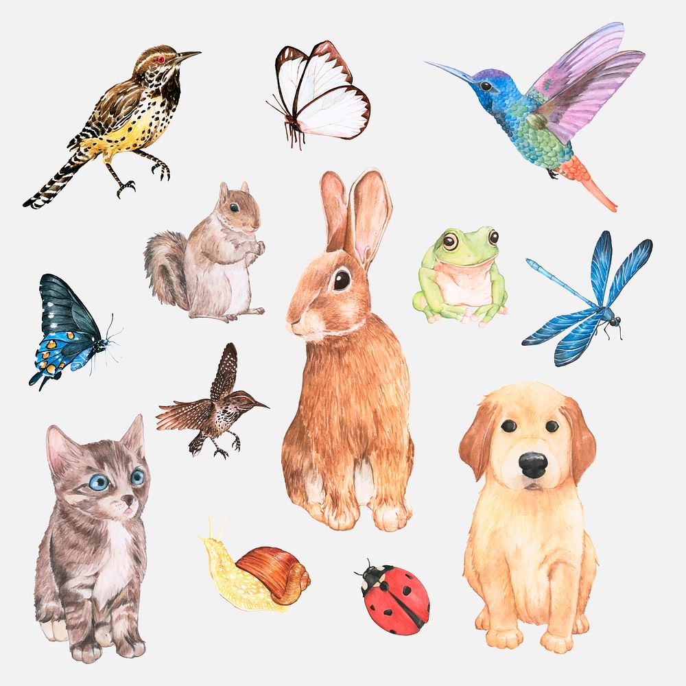 Watercolor animals and insects vector sticker set