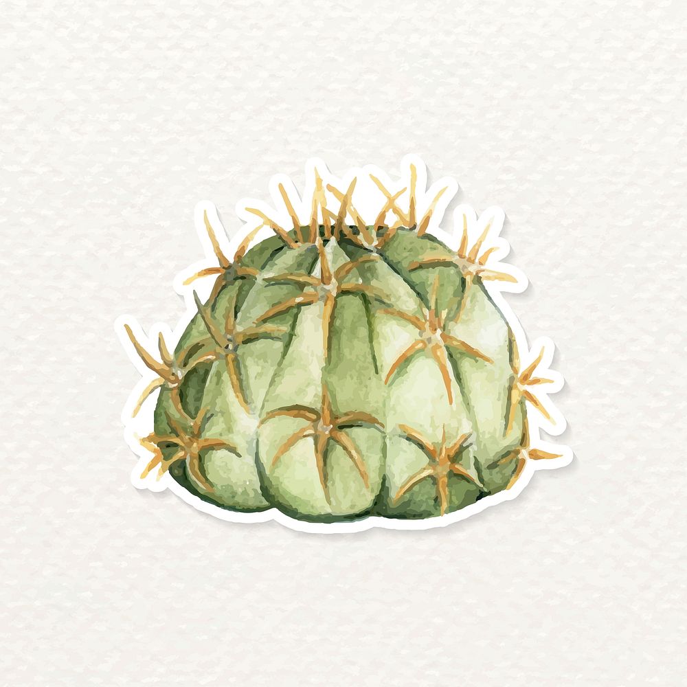 Cactus watercolor sticker vector