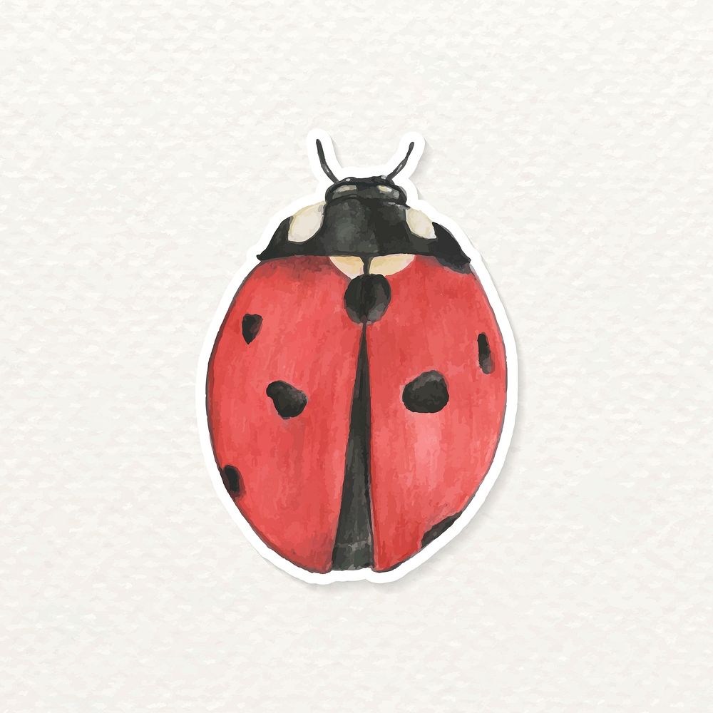 Hand drawn ladybug sticker vector