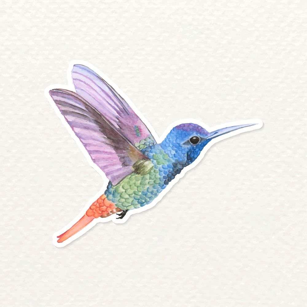 Hand drawn flying hummingbird sticker vector