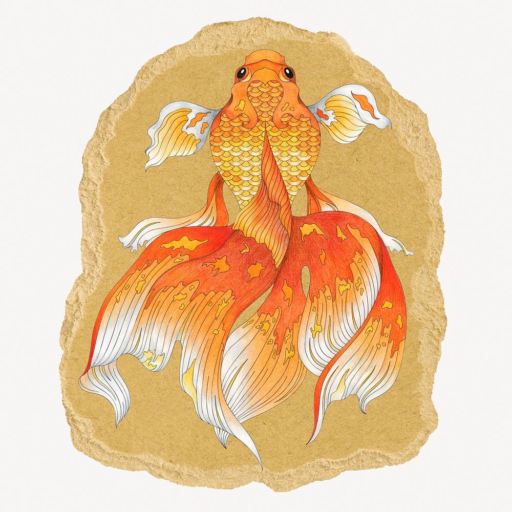 Japanese goldfish, ripped paper collage element