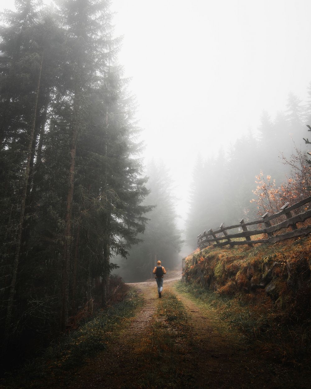 Man walking in the misty woods in the Dolomites