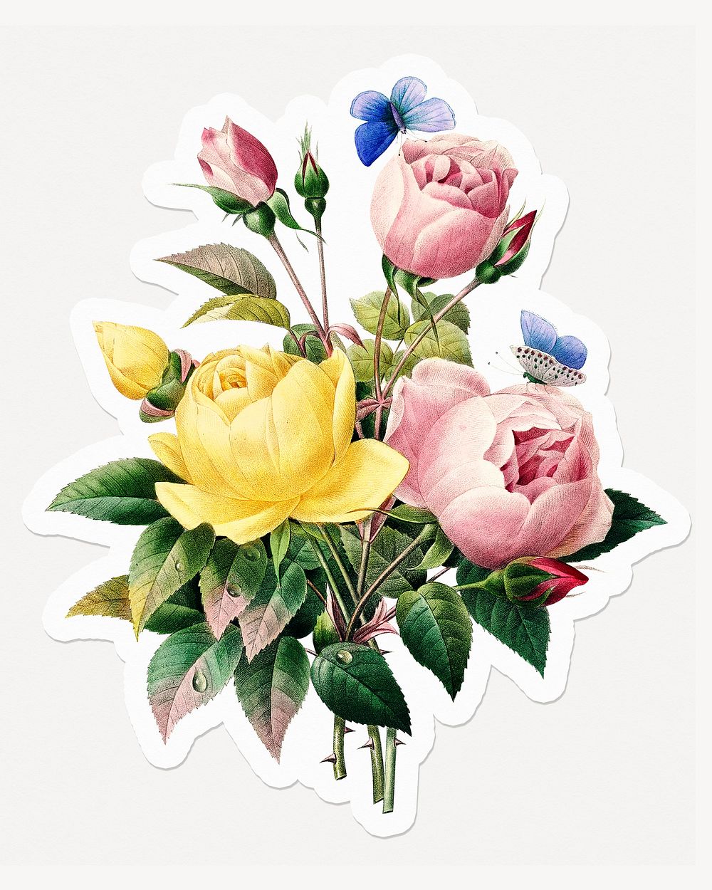 Colorful flowers, aesthetic bouquet illustration