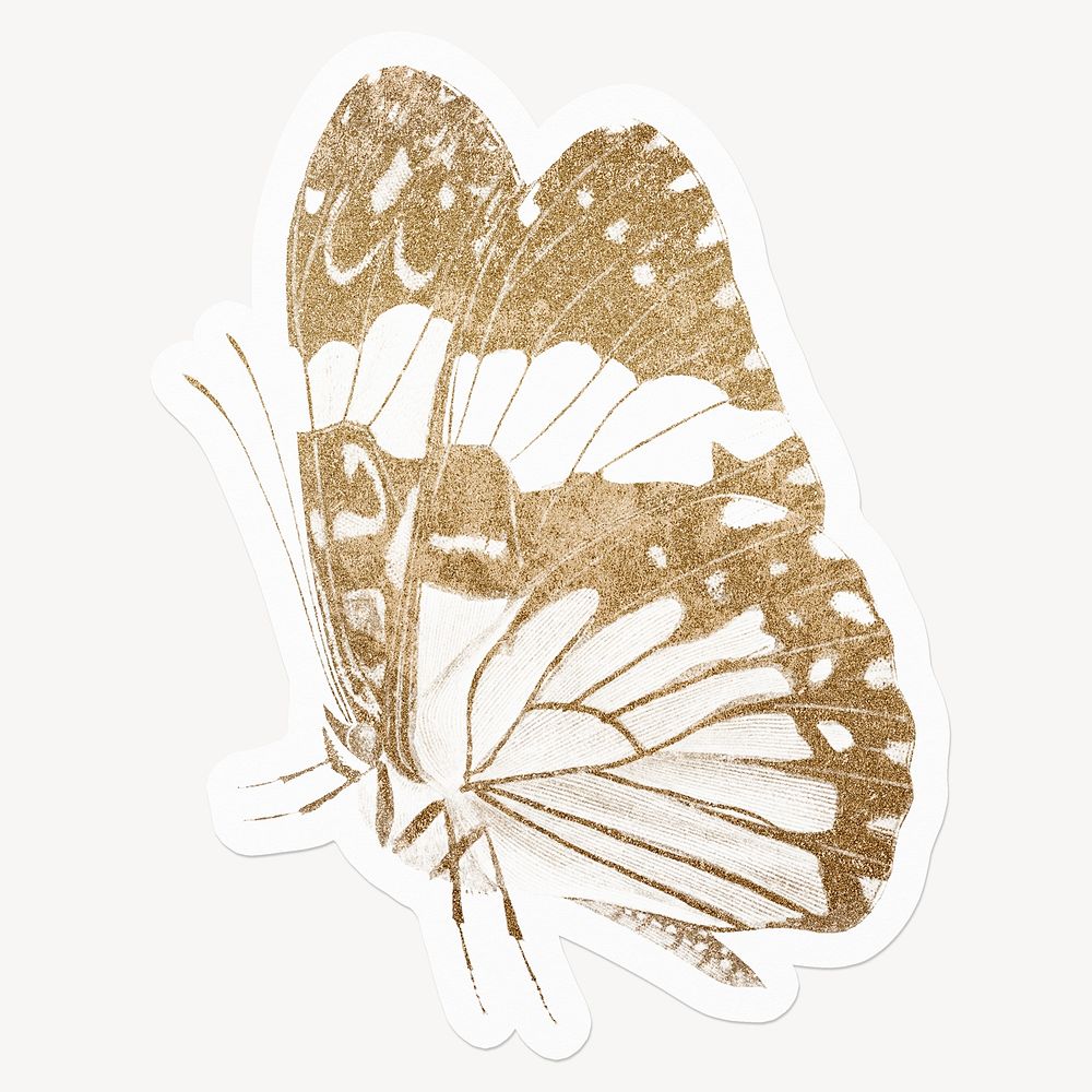 Gold glitter butterfly, off white design
