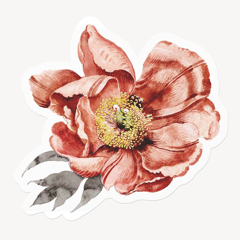 Vintage flower, aesthetic botanical illustration