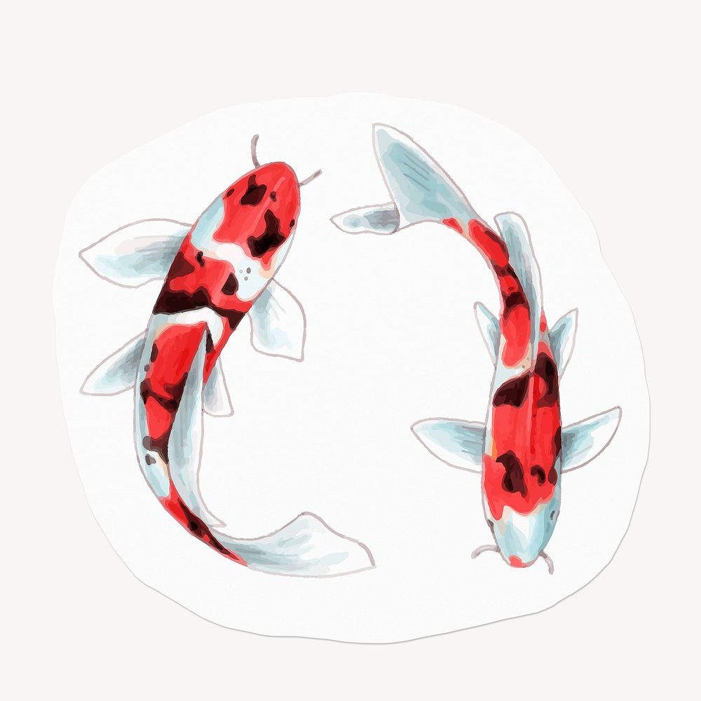 Japanese koi fish, drawing illustration