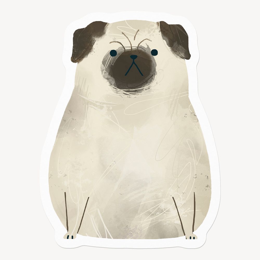 Grumpy pug, watercolor drawing illustration