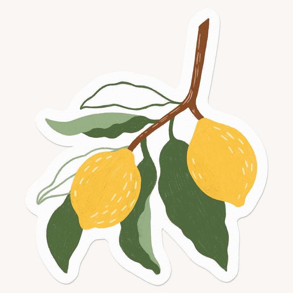 Lemon on branch, fruit, drawing illustration