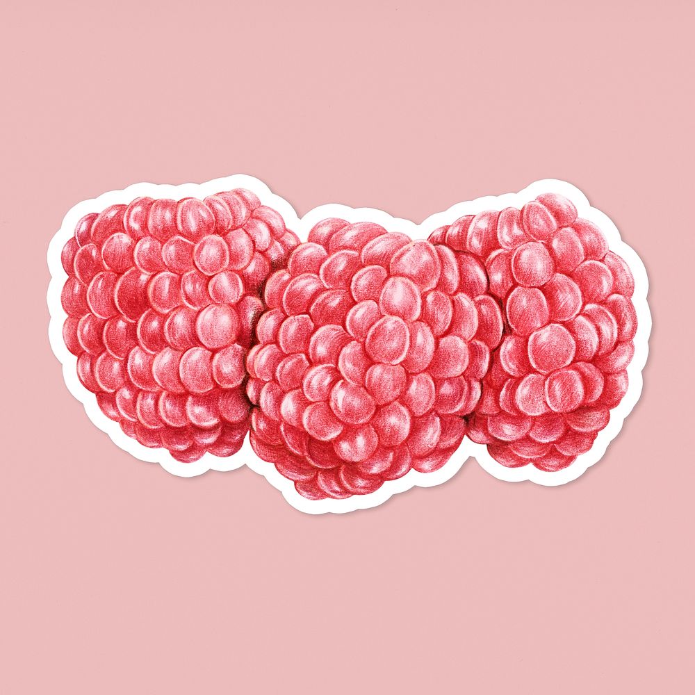 Raspberry fruit psd illustration organic food