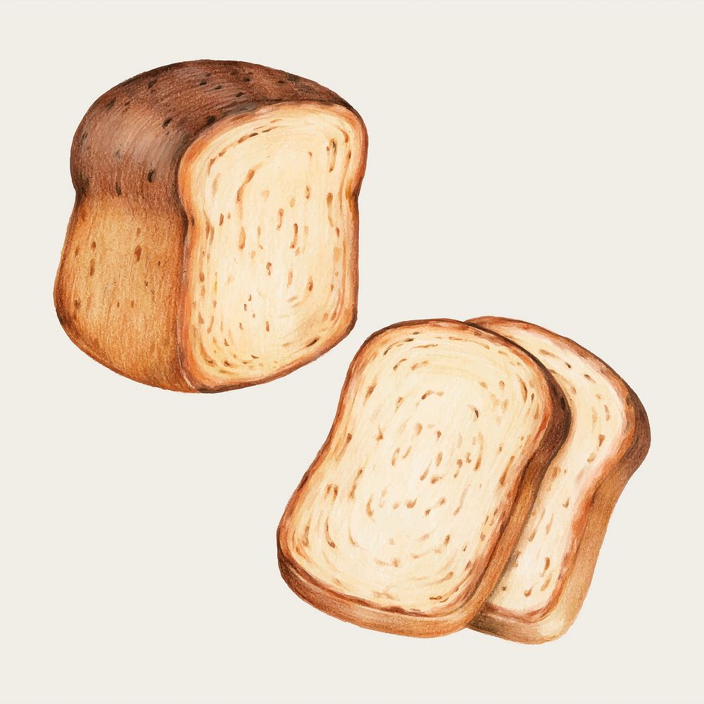 Baked bread vintage hand-drawn vector