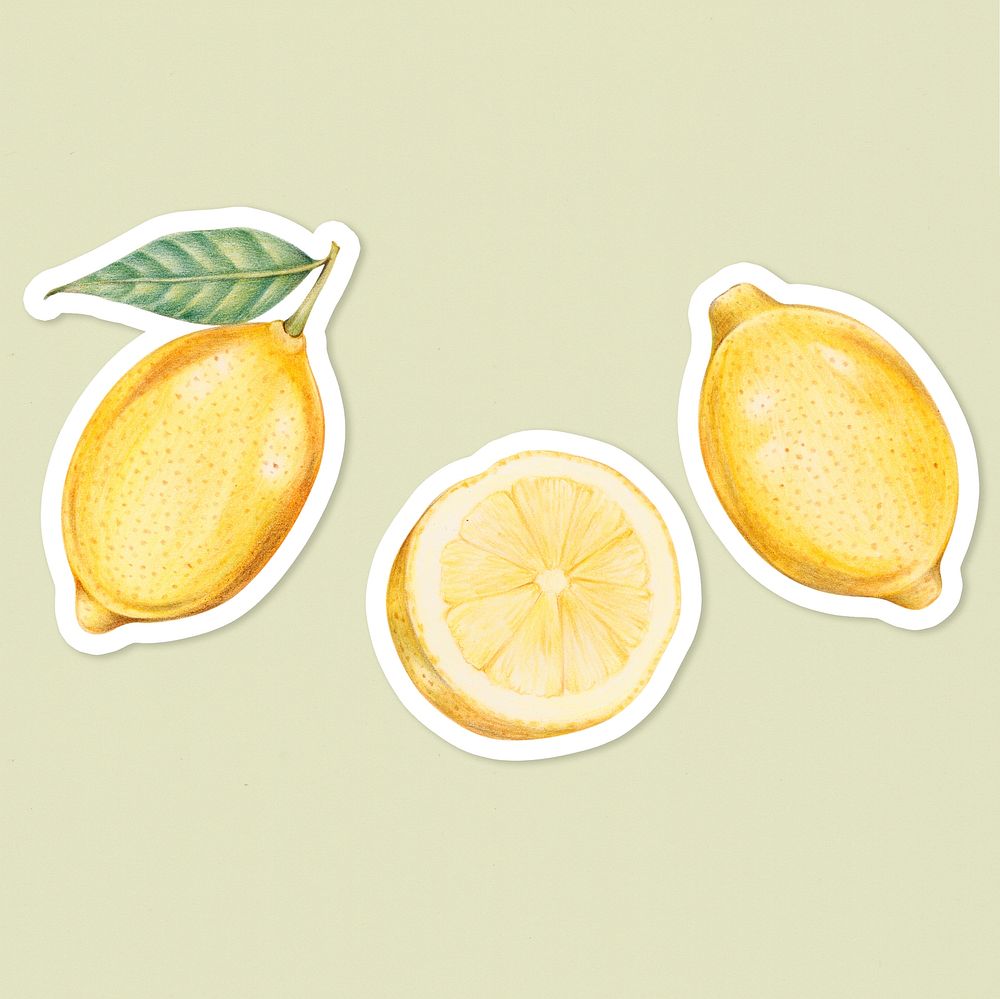 Vintage yellow lemon sticker psd botanical illustration