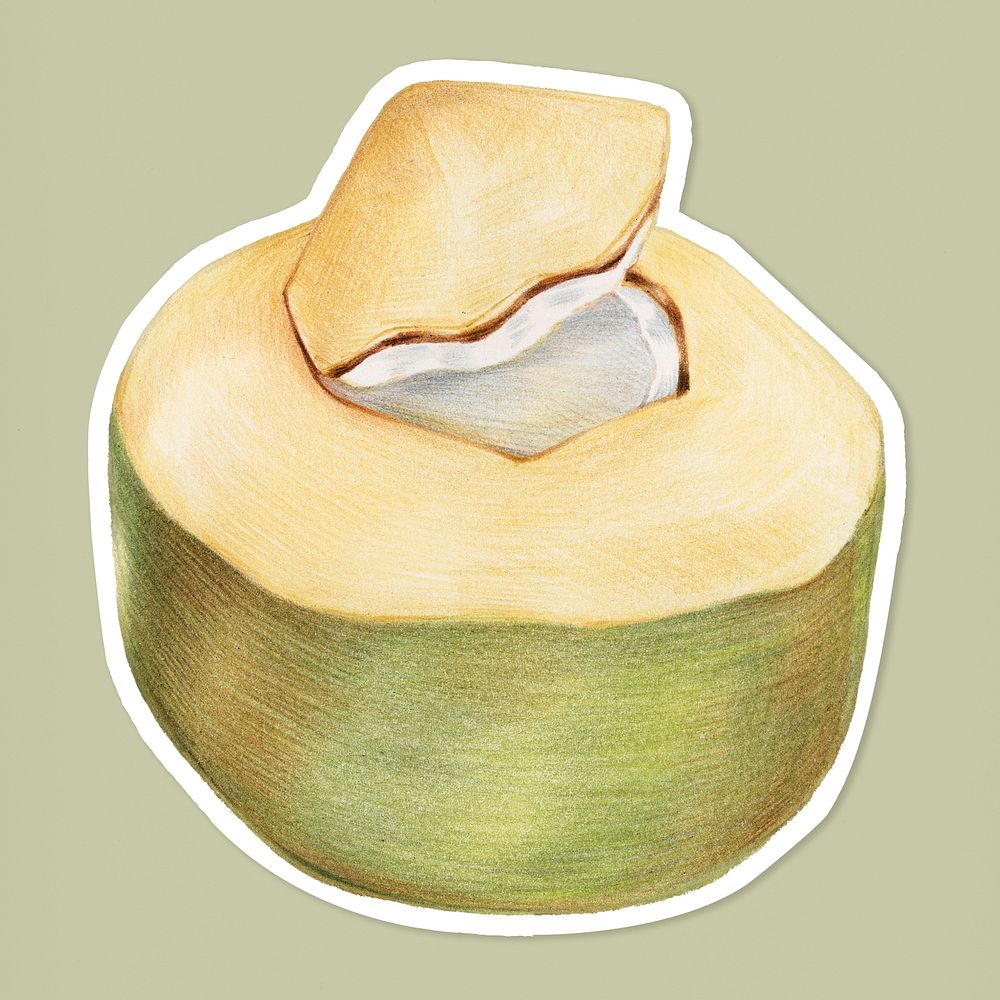 Coconut fruit psd illustration organic food