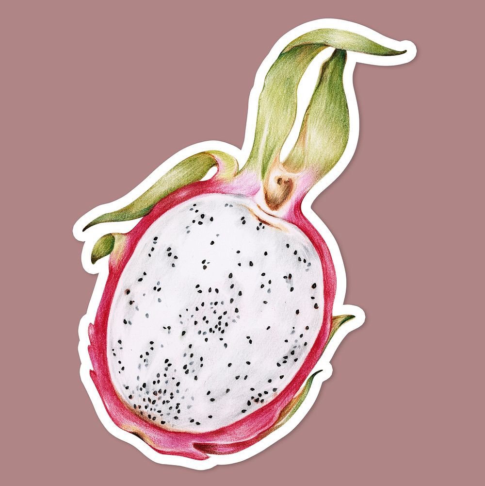 Dragon fruit illustration psd tropical fruit sticker