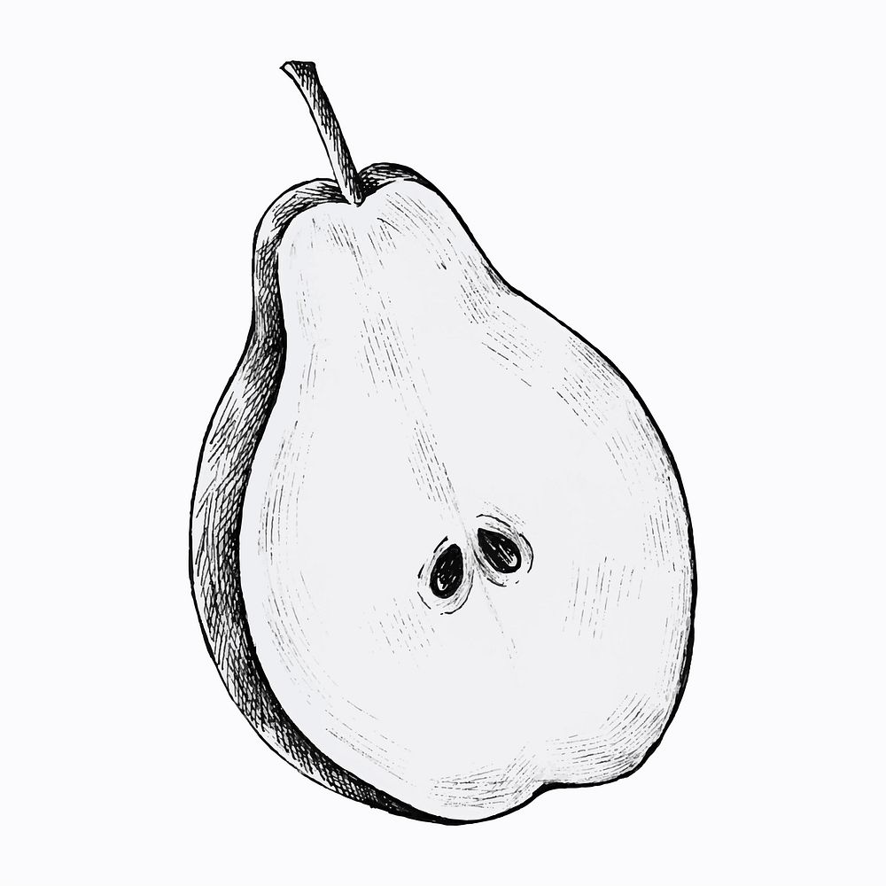 Hand drawn half cut of pear vector