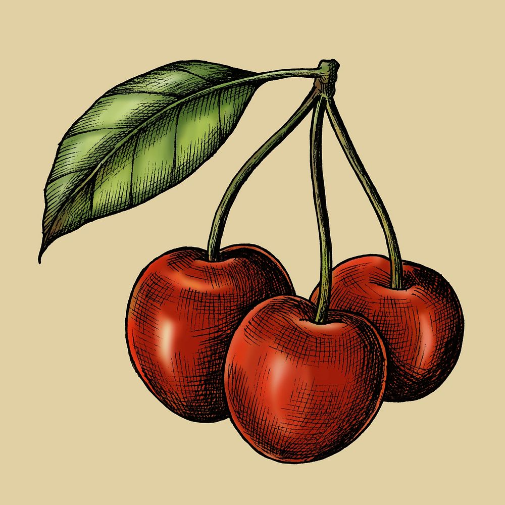 Red fresh cherries on beige background illustration