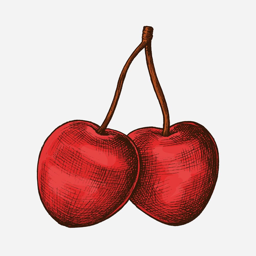 Red fresh ripe cherries illustration