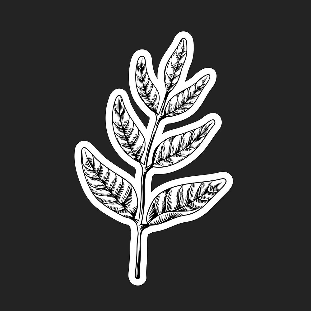 Black and white leaf sticker with a white border vector