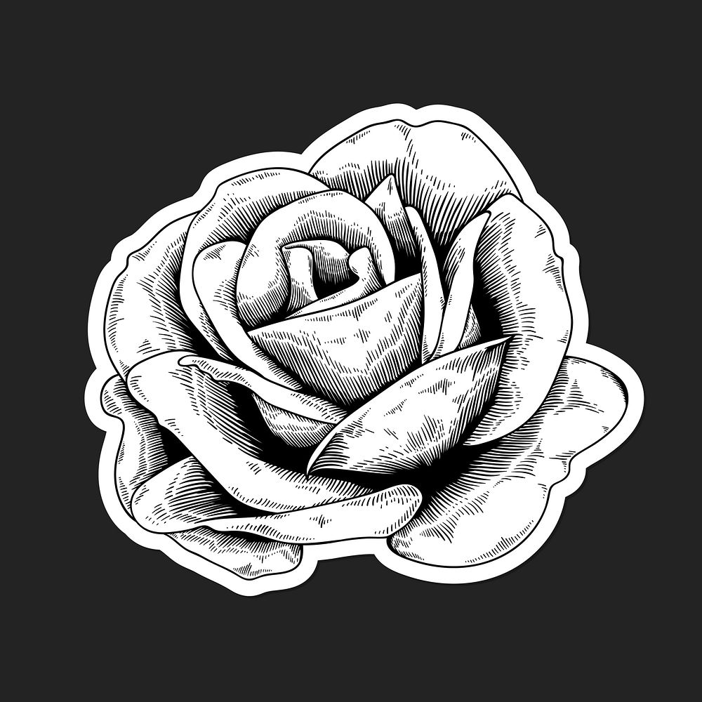 Black and white rose sticker with a white border vector