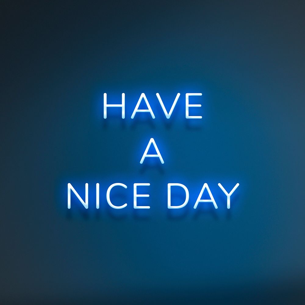 HAVE A NICE DAY neon phrase typography on a blue background