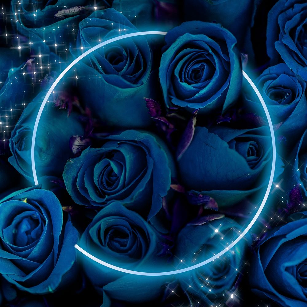 Blue rose neon frame psd