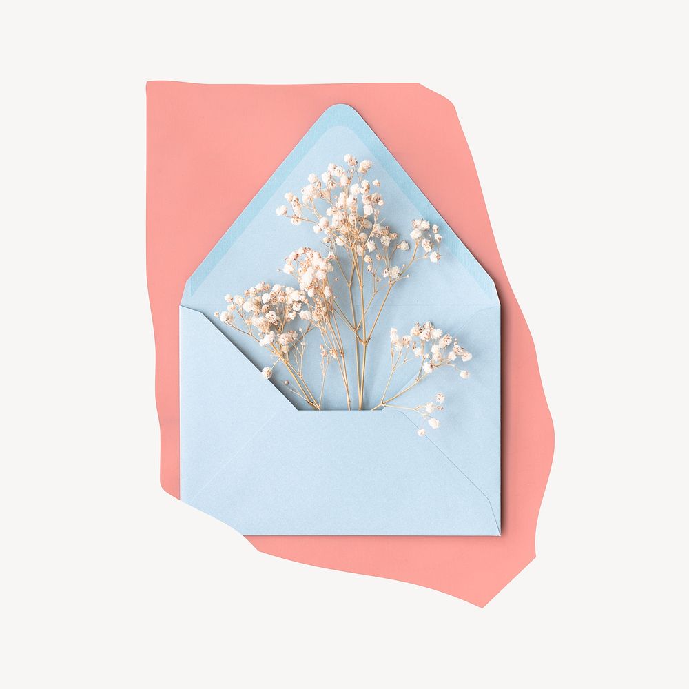 White flowers in blue envelope, pink background