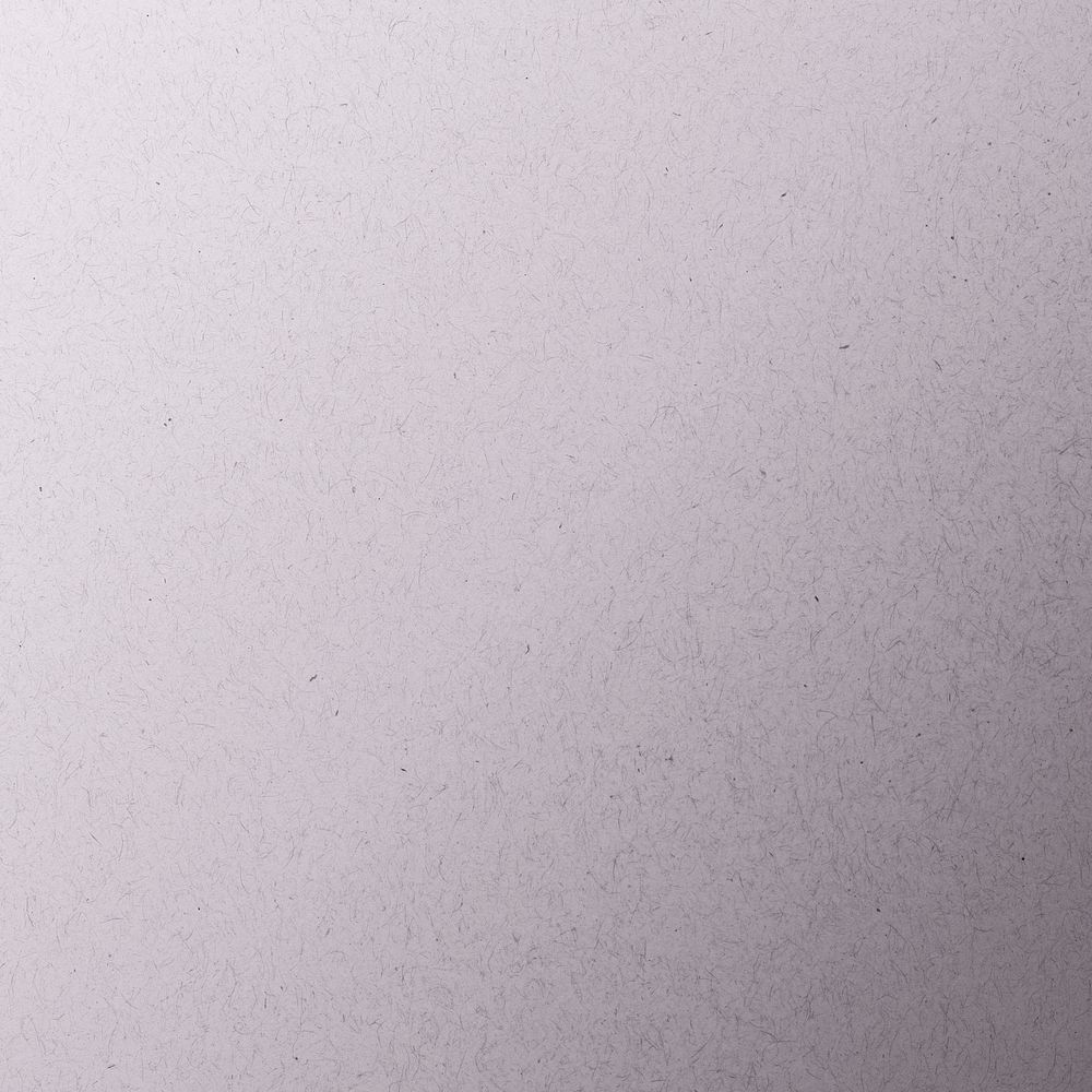 Light gray paper textured background