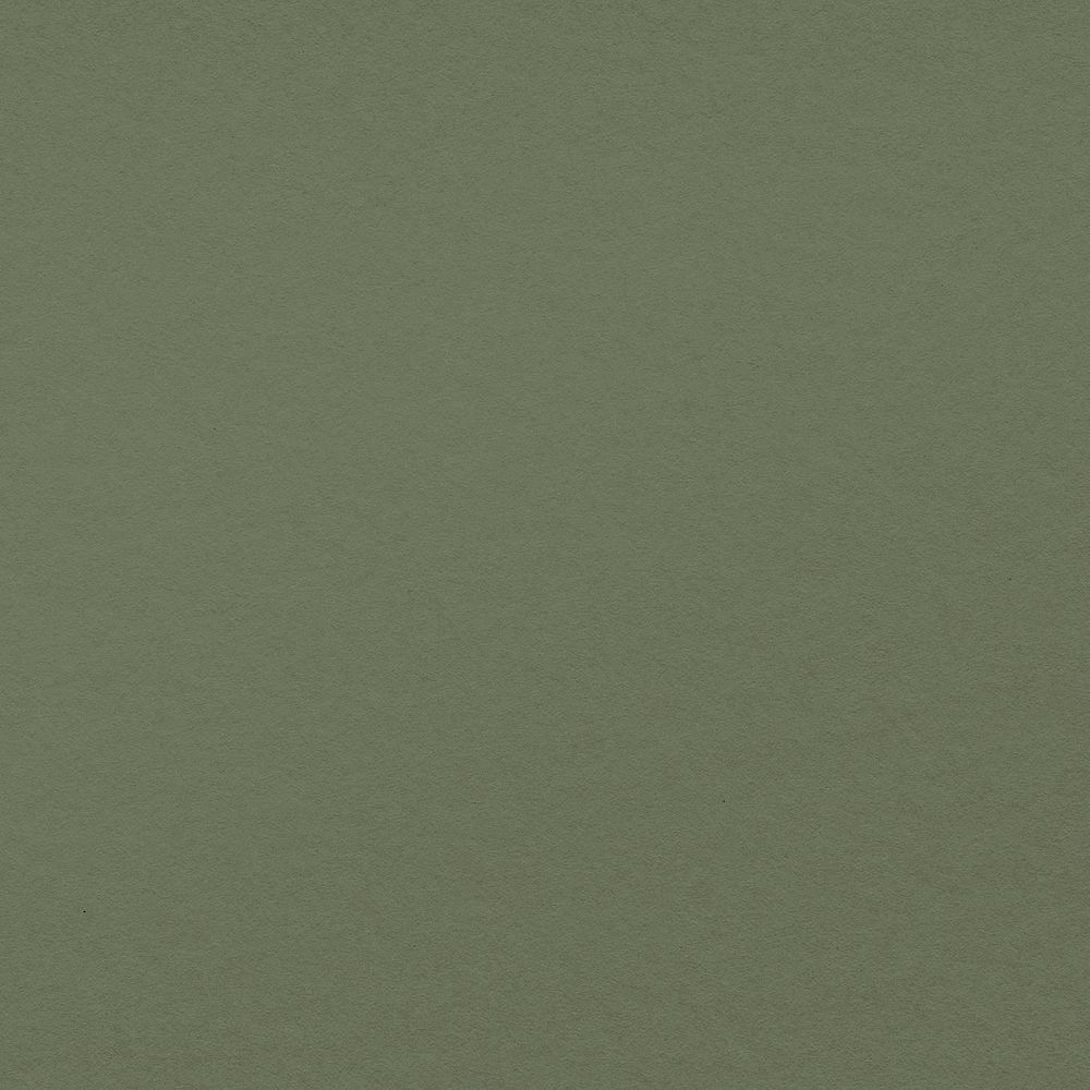 Green plain undecorated background paper texture