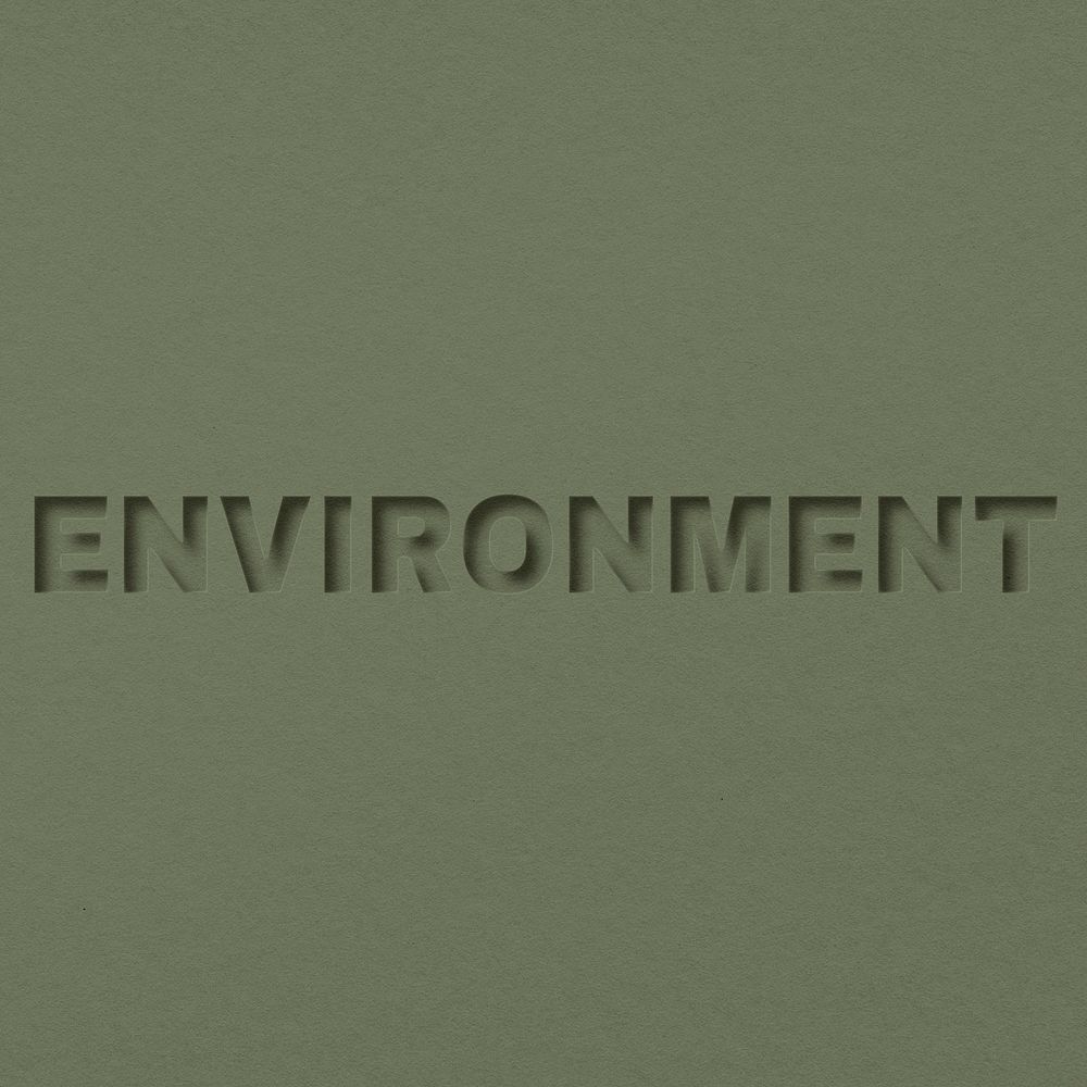 Environment word bold paper cut font typography