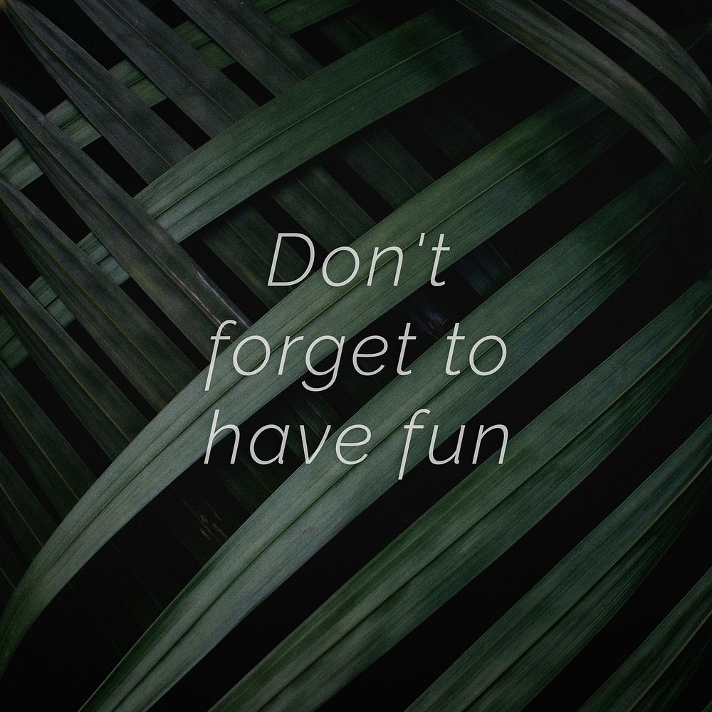 Don't forget to have fun quote on a palm leaves background