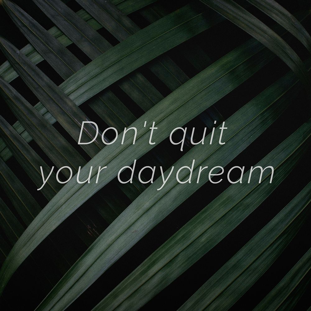 Don't quit your daydream quote on a palm leaves background