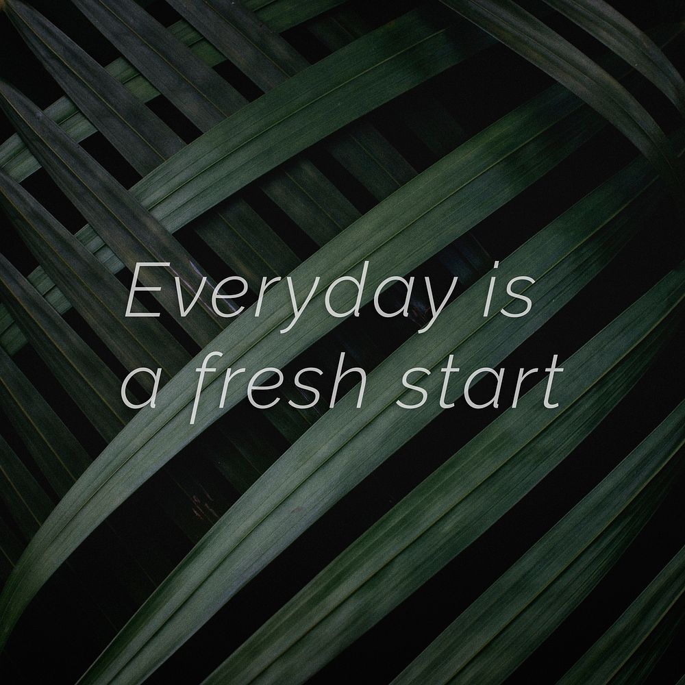 Everyday is a fresh start quote on a palm leaves background