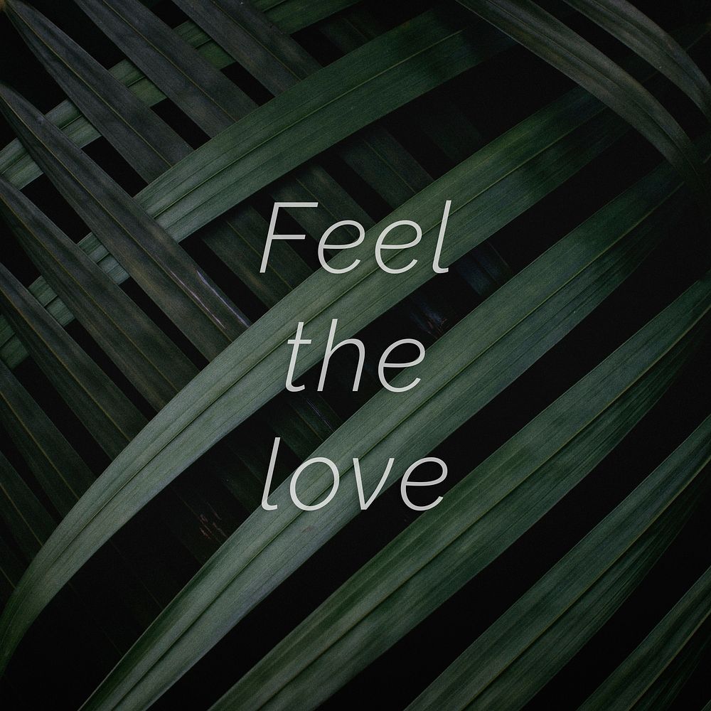Feel the love quote on a palm leaves background