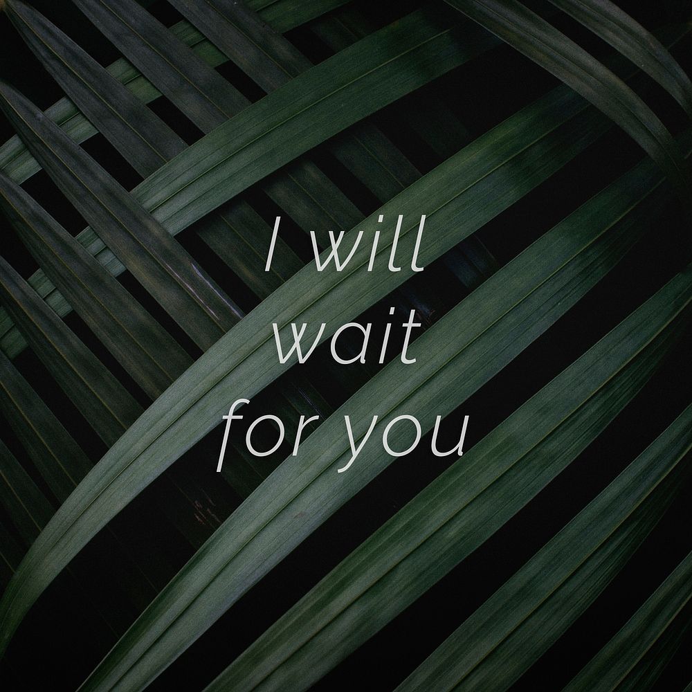 I will wait for you quote on a palm leaves background