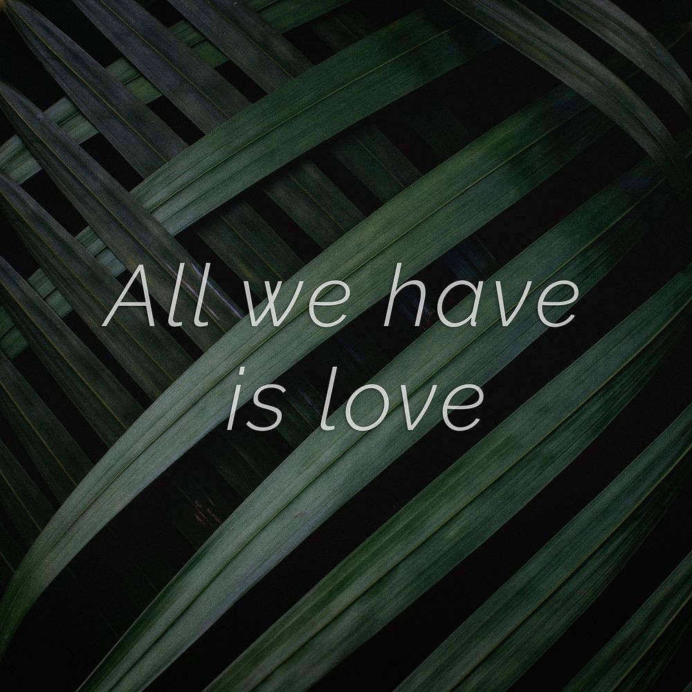 All we have is love quote on a palm leaves background