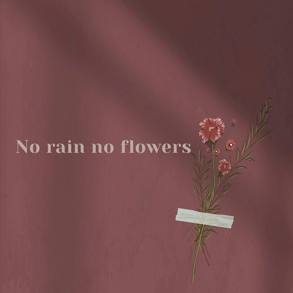 No rain no flowers inspirational quote on wall