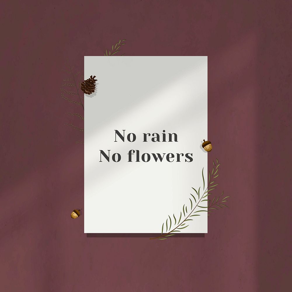 Wall inspirational quote no rain no flowers on white paper