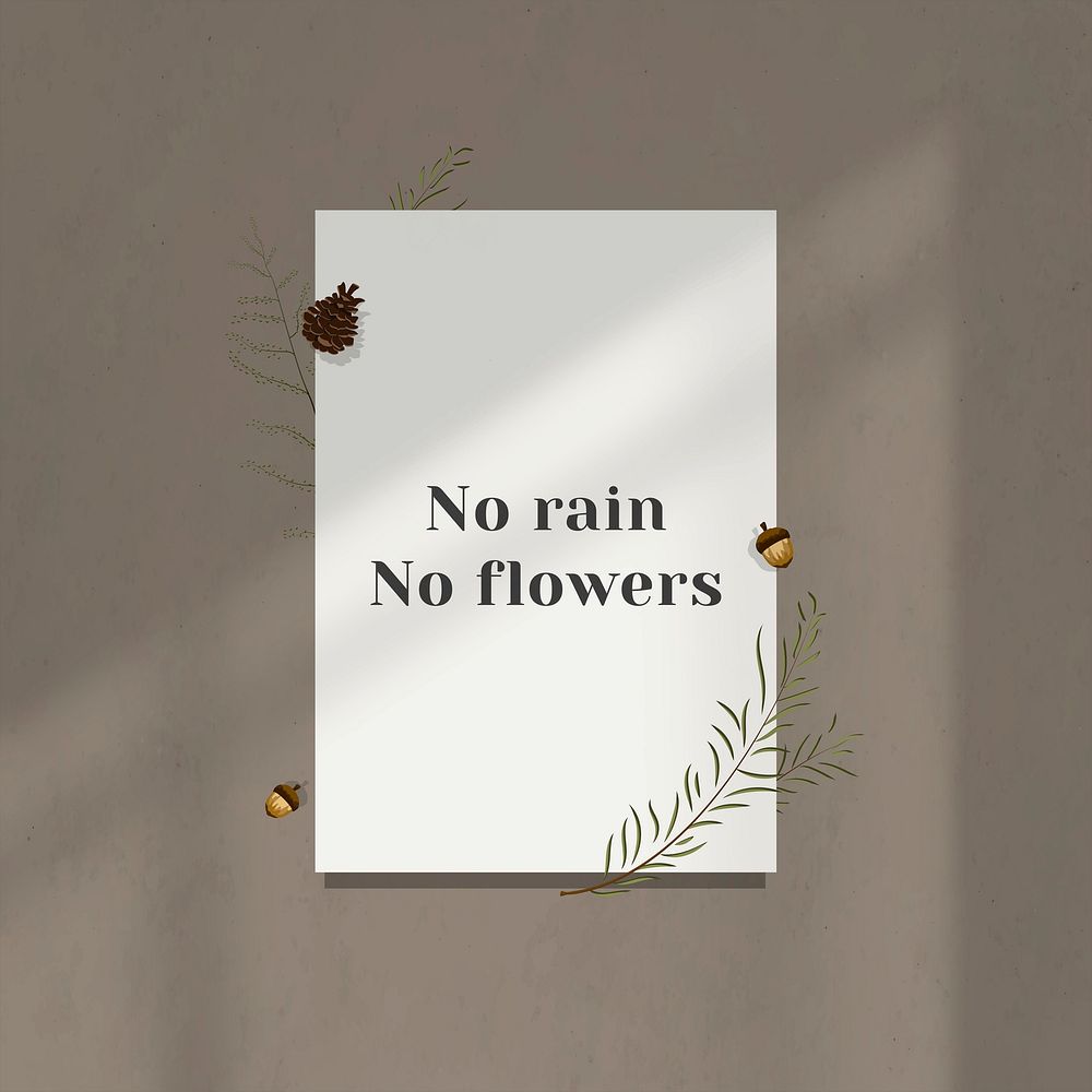 Inspirational quote no rain no flowers on white paper